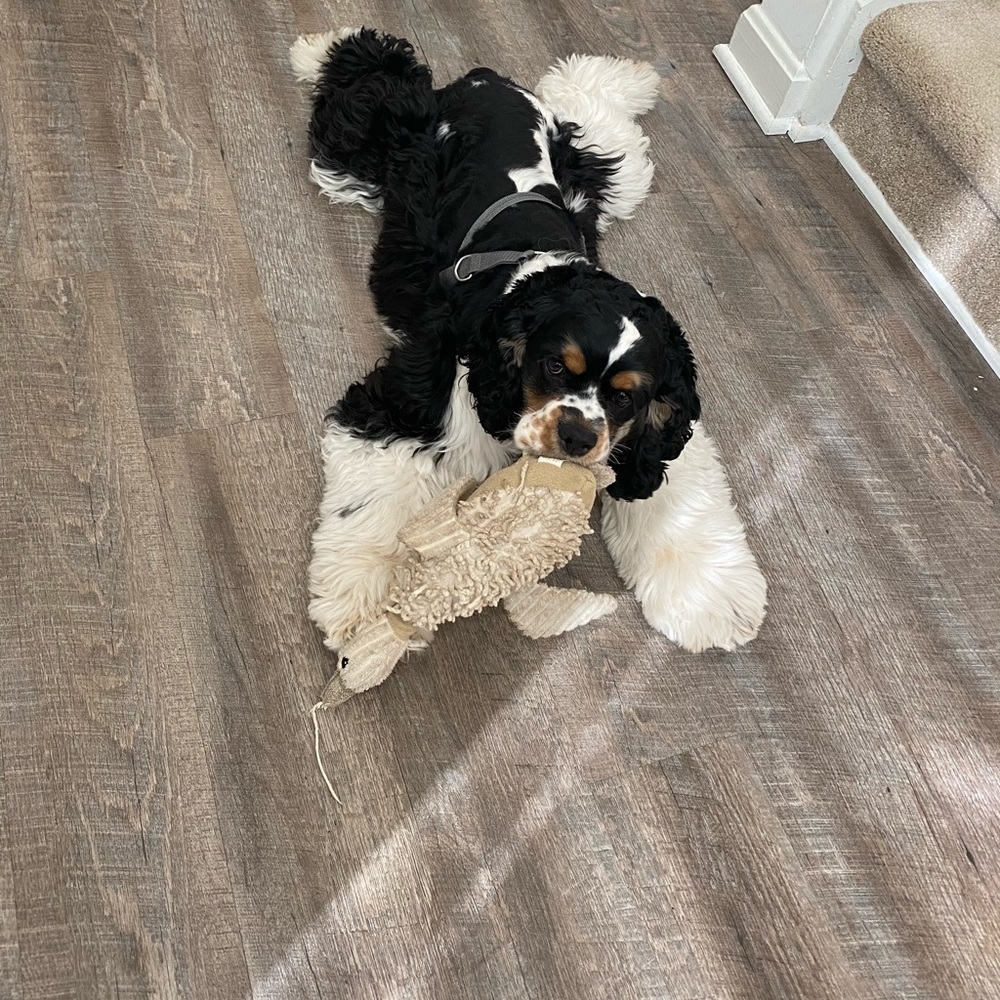 Meet your Posher, Melissa